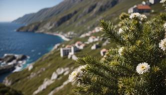 Norwegen, Spanien und Irland streben an, Palästina anzuerkennen